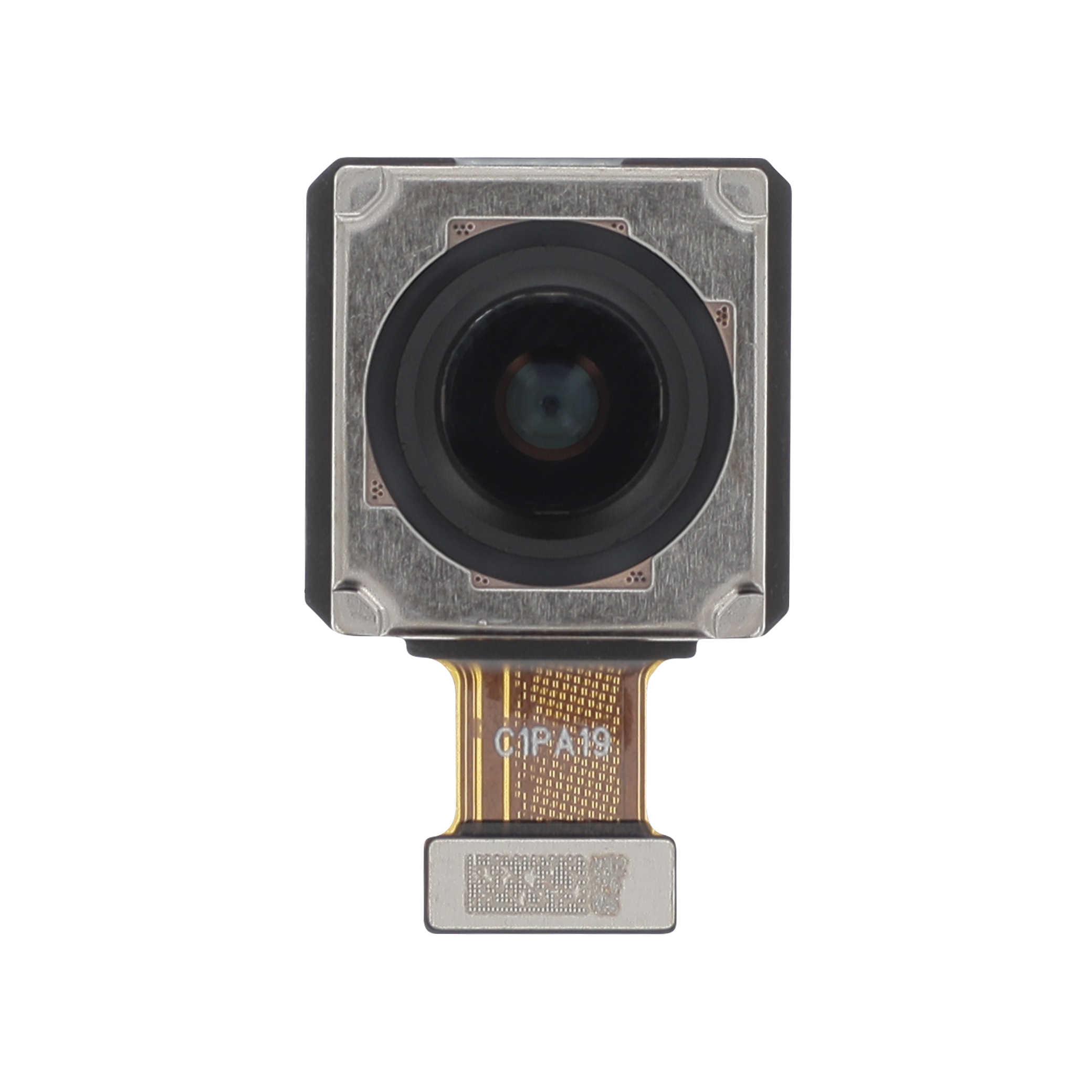3667075028895-0000 Câmara Traseira Principal 54MP para Honor 70 - OEM ReLife - Image 1