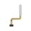 Leitor de Impressões Digitais Flex Branco para Samsung Galaxy A22 4G (A225F) - OEM ReLife