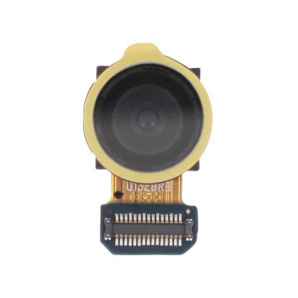 Câmara Traseira 12MP Grande Angular para Samsung Galaxy S20 FE 4G (G780F) (SERVICE PACK)