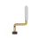 Leitor de Impressões Digitais Flex Branco para Samsung Galaxy A22 4G (A225F) - OEM ReLife