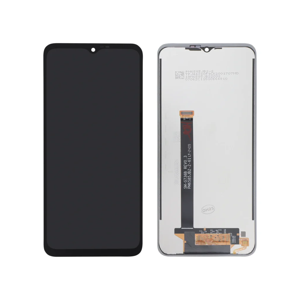 Ecrã Display completo para Samsung Galaxy Xcover 6 Pro (F736B) (SERVICE PACK)