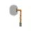 Sensor de impressão digital Branco para Samsung Galaxy A40 (A405F) (SERVICE PACK)