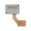Sensor de Impressão Digital para Samsung Galaxy A31/A51 5G (SERVICE PACK)