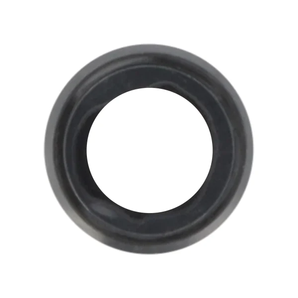 Vidro da Lente da Câmara Traseira para iPhone 6S - Preto