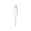 APPLE EarPods Lightning Earphones (Bulk)